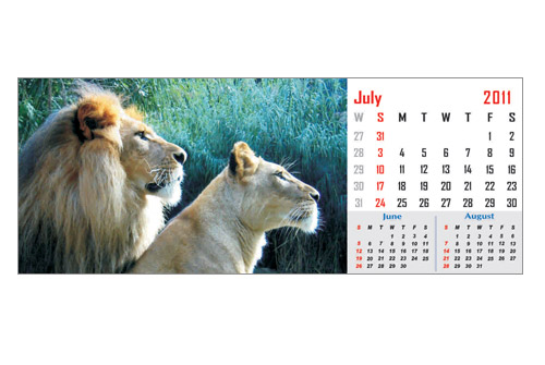 animal calander print