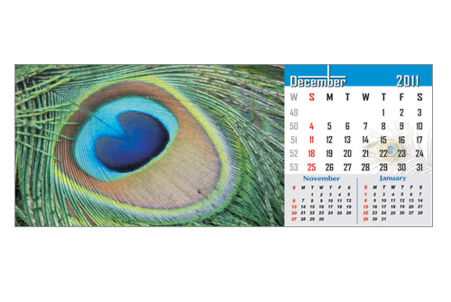 Print Services Hyderabad