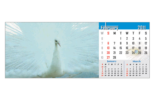 print design services