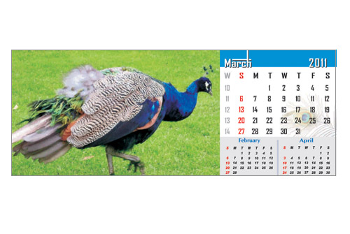 calander print services Hyderabad