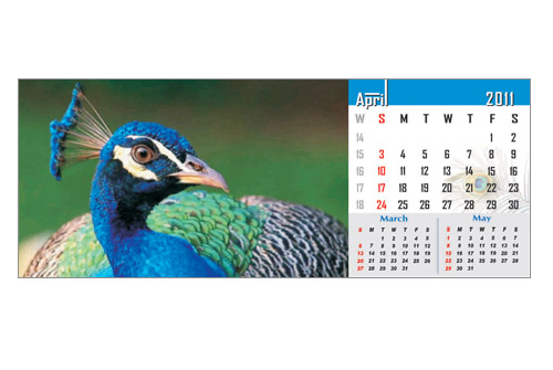 calendar print 