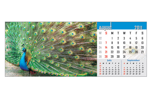 calendar designs