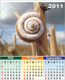 Shells4