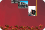 Prospectus Designs India