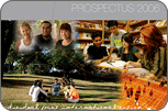 Prospectus Designs